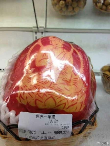 애플 아이폰5보다 비싼 일본산 사과 '어떤 사과길래?'