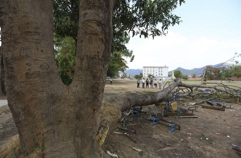 운남 보이현 중학교 운동장 나무 쓰러져 1명 사망 28명 부상