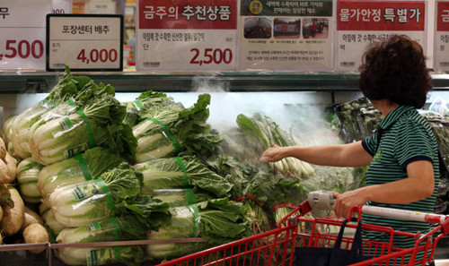 여름철 무더위로 한국 가을배추 가격 대폭 상승,한포기에 22원