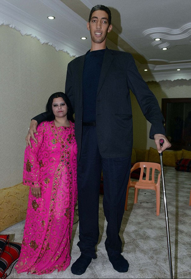 토이기 “세계최고남자” 결혼, 안해보다 80cm 높아