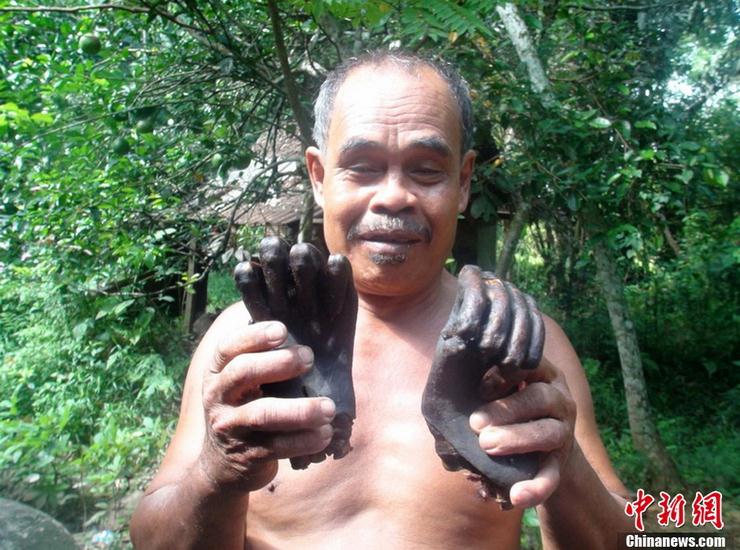 인도네시아 두 남자 오랑우탄 삶아 먹고 감방행
