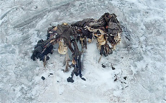 알프스산 용빙속에서 1차대전때 전사한 80명 유체 발견