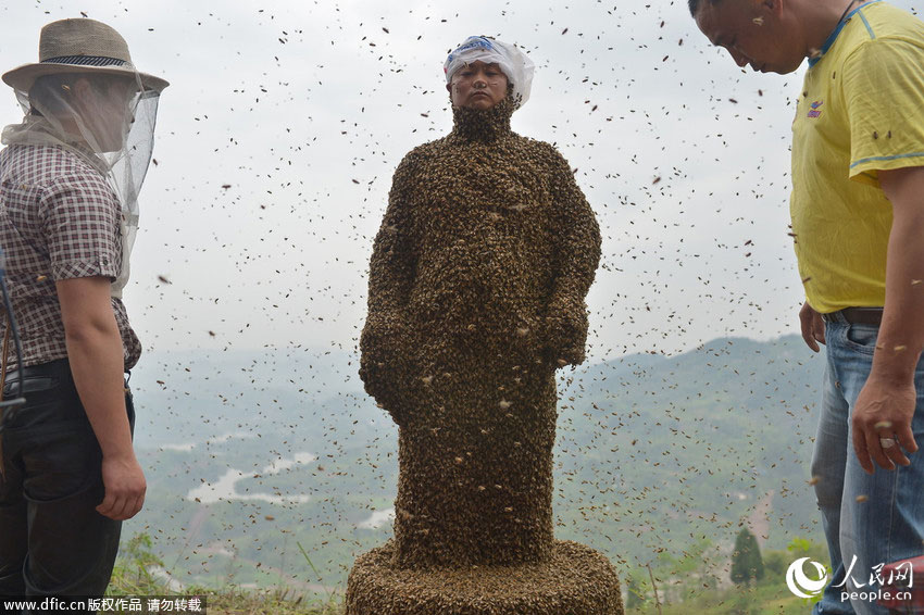 중경 알몸남자 46만여마리 꿀벌 흡인해 “벌옷” 입어