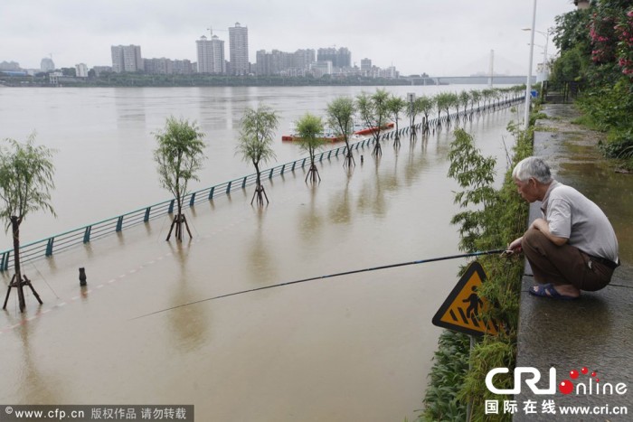 광주 여러 지역 폭우습격 받아, 시민 길거리낚시 즐겨