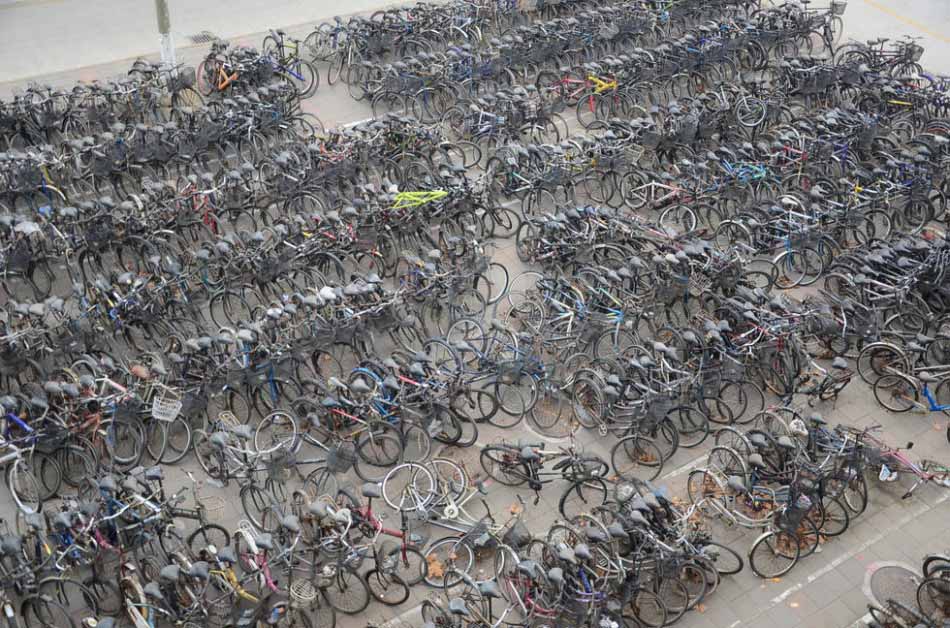 산동 대학교 “자전거무덤” 나타나