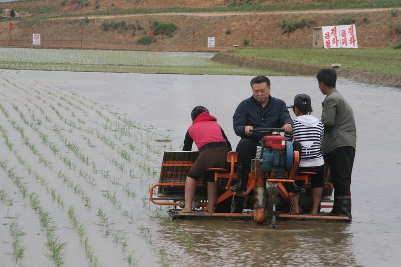 조선 백년이래 최대 가뭄 맞이, 조선주재 중국대사 모내기에 참가