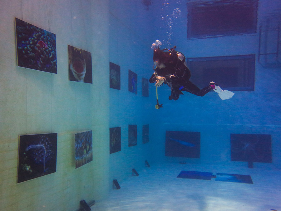 수중 촬영화랑 첫 전시, 물속에서 사진 감상