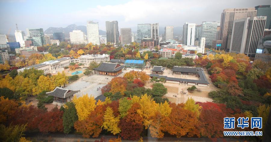 서울: 울긋불긋 단풍 들어 