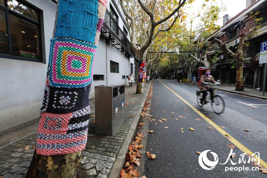 상해거리 우동나무 채색스웨터 입어, 귀엽고 따뜻한 모습 네티즌들 감탄 자아내