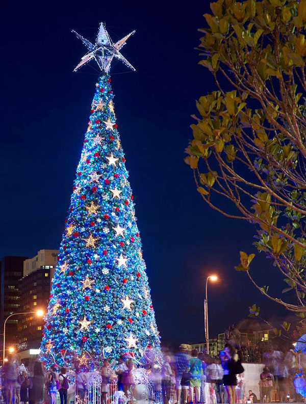 전세계 크리스마스모식 돌입, 각 지역 광장의 아름다운 크리스마스나무들
