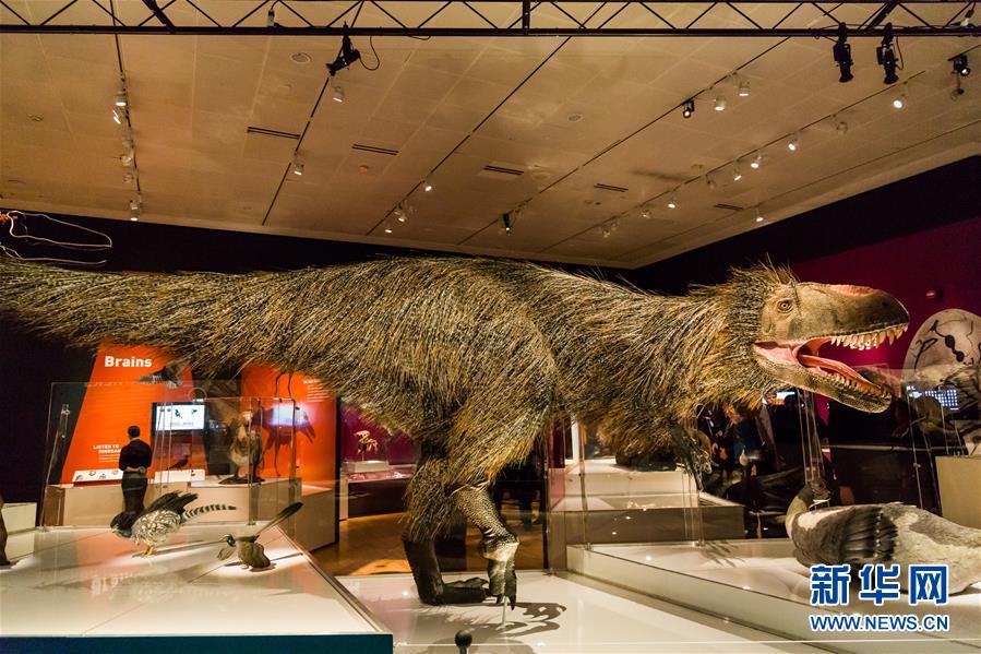 미국 자연력사박물관 공룡진화특별전 거행