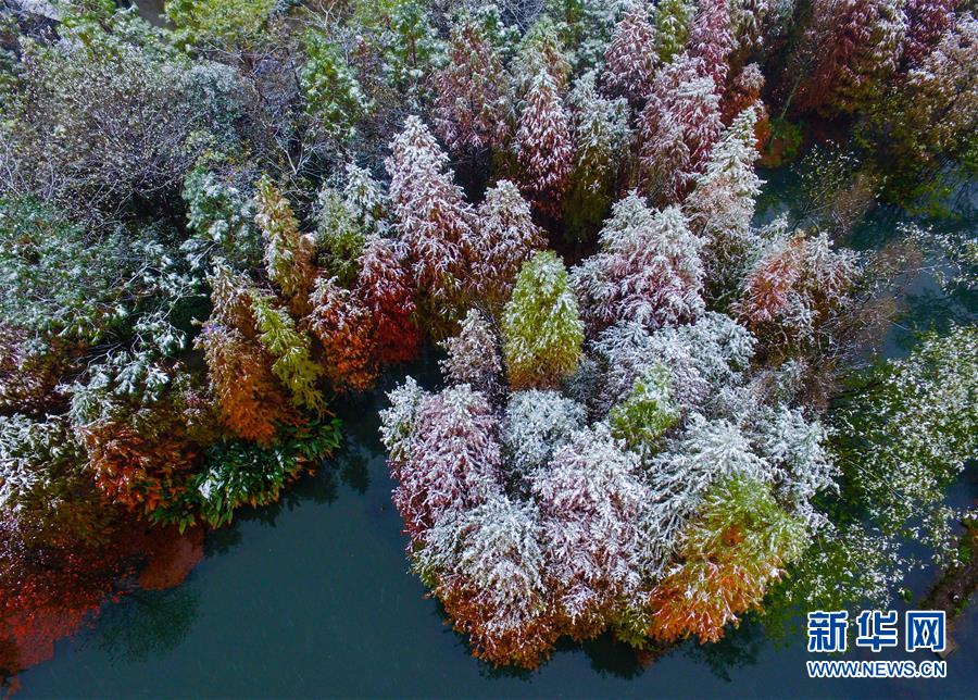 남경: 눈에 덮인 자금산 풍경 그림처럼 아름다워