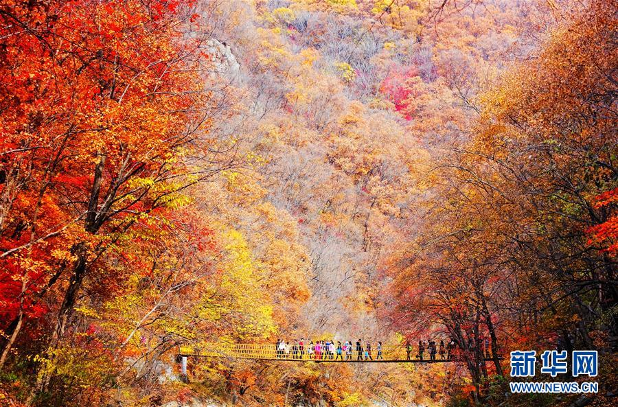 전국 각지 가을의 아름다운 풍경