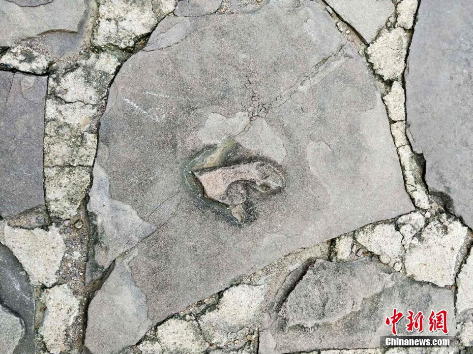 승덕피서산장 및 주변 사찰에서 250여개의 공룡족적 발견