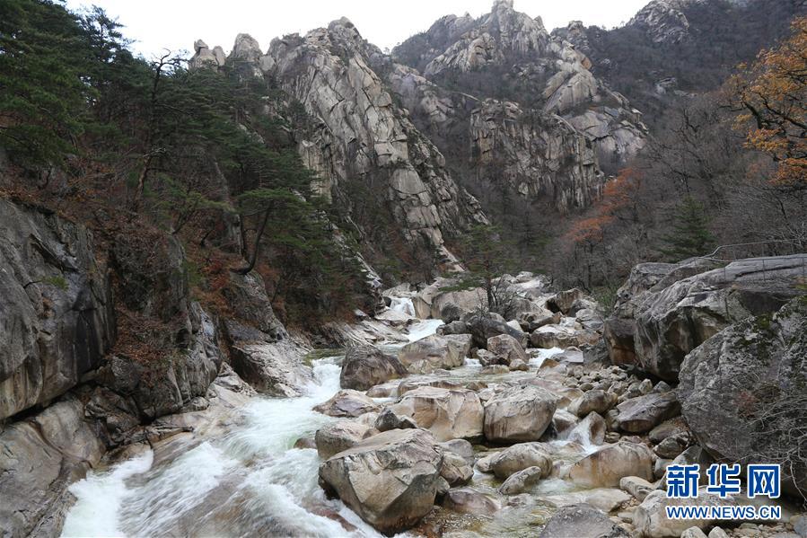조한, 금강산 관광 가동 20주년 기념행사 가동